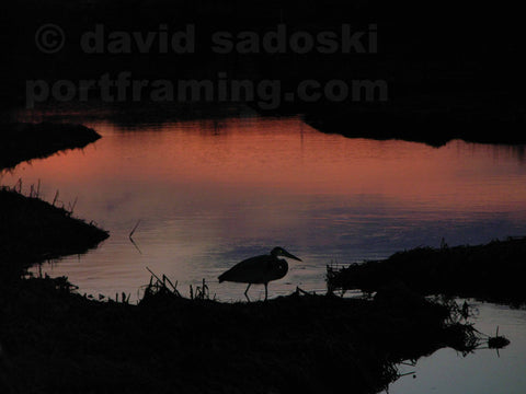 RED RIVER FISHERMAN