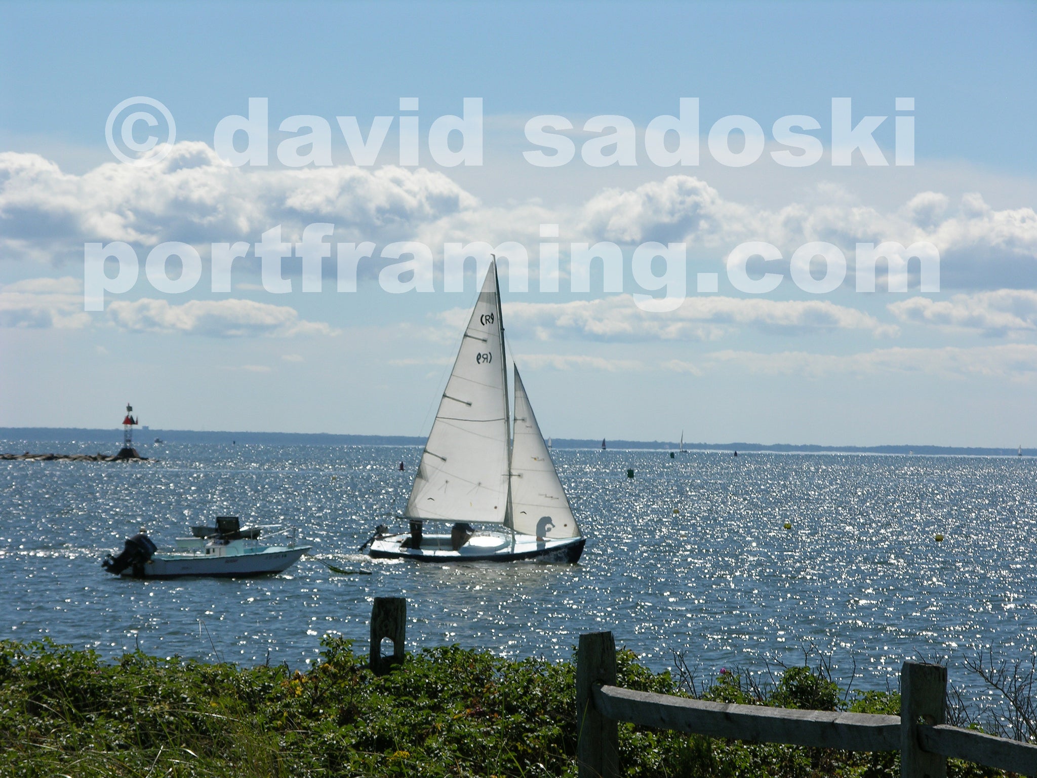 WELLFLEET HARBOR